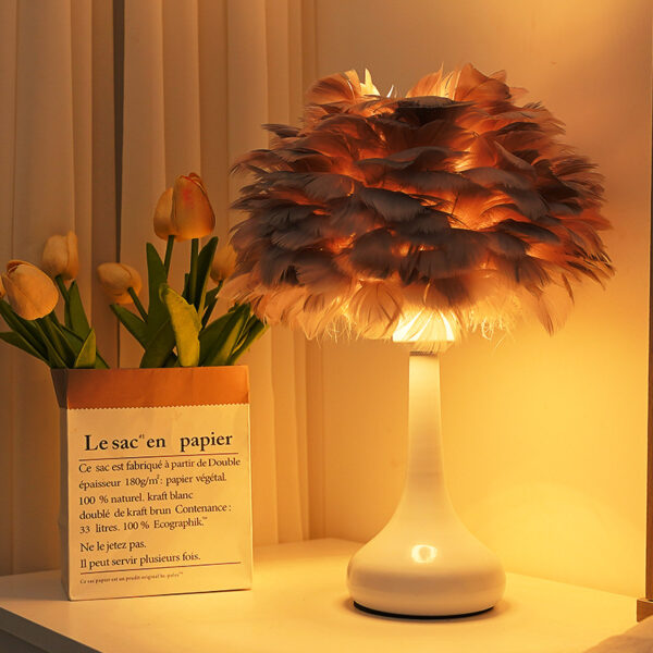 Compact Size Feather Lampshade Cozy Desk Lamps - Image 8