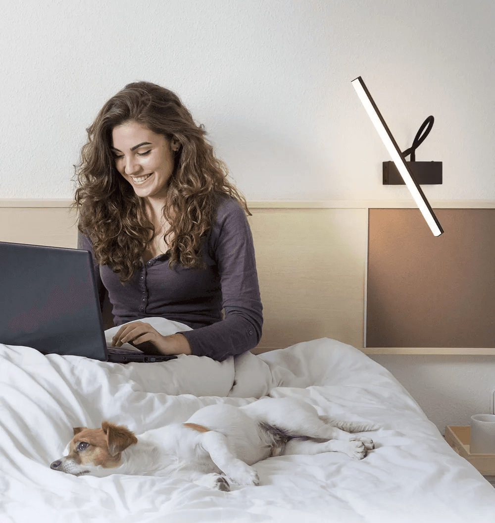 Cordless Rechargeable Flexible Arm Picture Display Lamp - Image 3